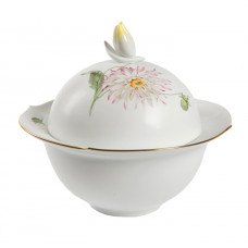 Sch&uuml;ssel m.D., Form 