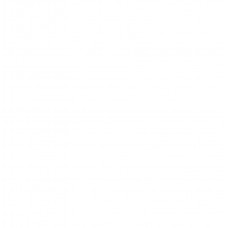 Teller m.H. (o.M. 08475), Goldzweig in den Schildern, Goldzahnkante, Goldrand, ø 24,5 cm