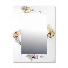 Segmentspiegel, Muscheln, Schnecken, Korallen, bunt und gold, weißer Rand, 70x50 cm