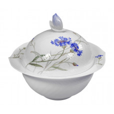 Sch&uuml;ssel m.D., Form 