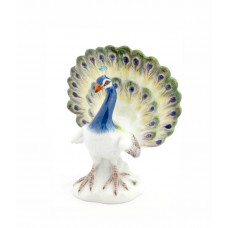 Pfauhahn, Bunt staffiert