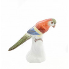 Papagei m.langem Schwanz, Bunt staffiert