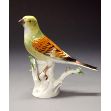 Goldammer, Bunt staffiert, H 14 cm