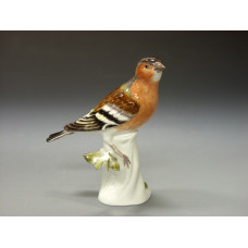 Buchfink, Bunt staffiert, H 14 cm