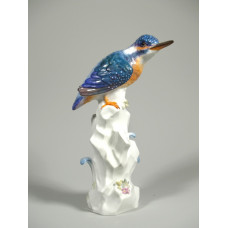 Eisvogel, Bunt staffiert