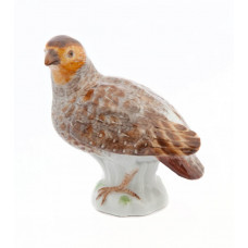 Rebhuhn, Bunt staffiert