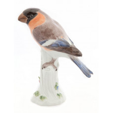 Gimpel niedriger Stamm, Bunt staffiert