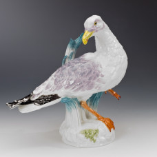 Möwe, Bunt staffiert