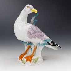 Möwe, Bunt staffiert