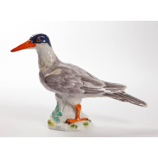 Seeschwalbe, Bunt staffiert