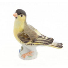 Zeisig, Bunt staffiert