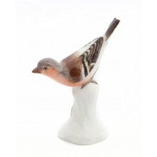 Fink, Bunt staffiert