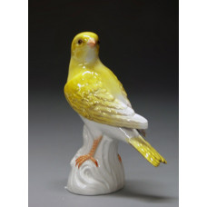 Kanarienvogel, Bunt staffiert