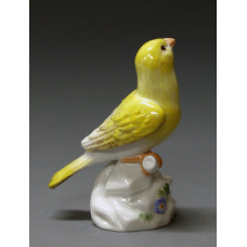 Kanarienvogel, Bunt staffiert