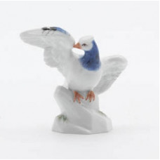 Taube, Bunt staffiert