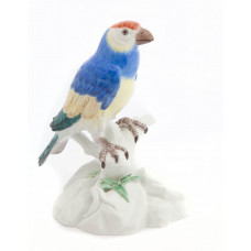 Papagei, Bunt staffiert