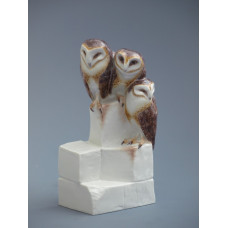 Schleiereulen, Bunt staffiert Schleiereulen, Bunt staffiert