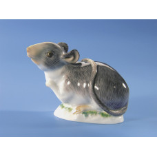 Maus, klein, Bunt staffiert