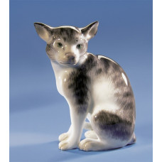 Katze, sitzend, Bunt staffiert Katze, sitzend, Bunt staffiert