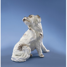 Wachtelhund kratzend, Bunt staffiert