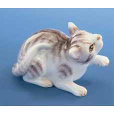 Katze, Bunt staffiert Katze, Bunt staffiert