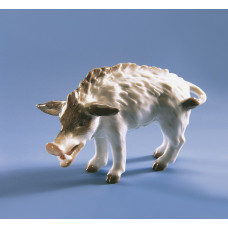 Wildschwein, Bunt staffiert