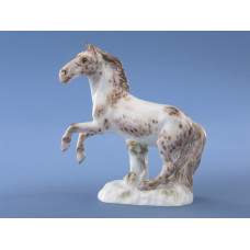 Pferd, Bunt staffiert