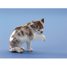 Katze, sitzend, Bunt staffiert Katze, sitzend, Bunt staffiert