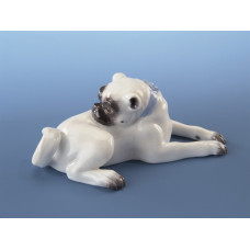 Mops,liegend n.rechts o.Sch., Bunt staffiert Mops,liegend n.rechts o.Sch., Bunt staffiert