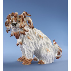 Bologneser Hund sitzend n. links, Bunt staffiert