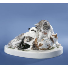 Katzengruppe, Bunt staffiert Katzengruppe, Bunt staffiert