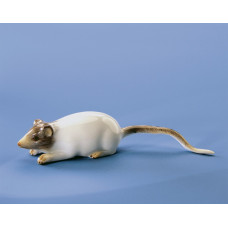 Maus, Bunt staffiert