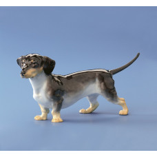 Dachshund, Bunt staffiert, 19 cm