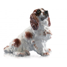 Cockerspaniel sitzend, Bunt staffiert