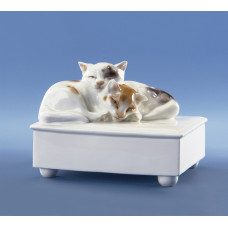 Katzengruppe, Bunt staffiert Katzengruppe, Bunt staffiert