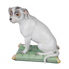 Wachtelhund, Головни и золото staffiert