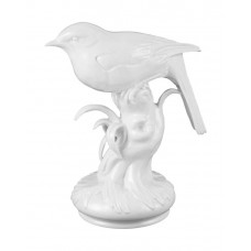 Rotschw&auml;nzchen, Wei&szlig;