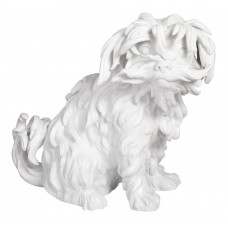 Bologneser Hund sitzend nach rechts, Weiß