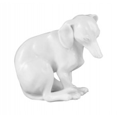 Dachshund, Weiß