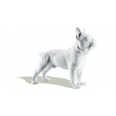Bulldogge, Weiß, H 16,5 cm