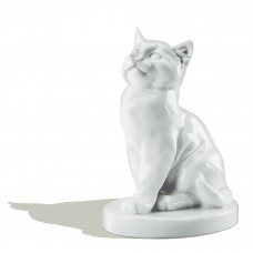 Junge Katze, Weiß, H 11,5 cm
